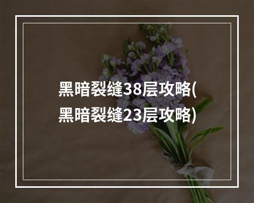 黑暗裂缝38层攻略(黑暗裂缝23层攻略)