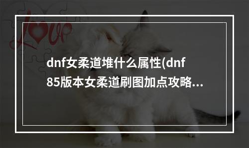 dnf女柔道堆什么属性(dnf85版本女柔道刷图加点攻略前瞻)