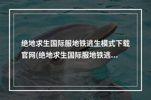 绝地求生国际服地铁逃生模式下载官网(绝地求生国际服地铁逃生模式下载)