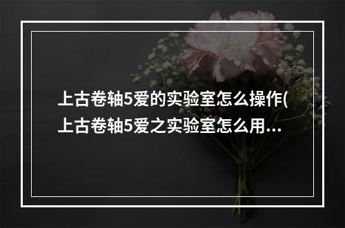 上古卷轴5爱的实验室怎么操作(上古卷轴5爱之实验室怎么用 上古卷轴5爱之实验室使用)