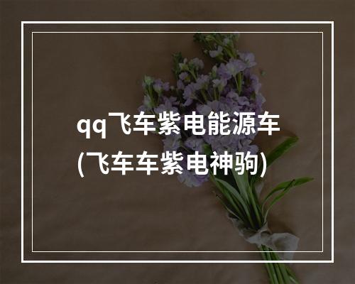 qq飞车紫电能源车(飞车车紫电神驹)