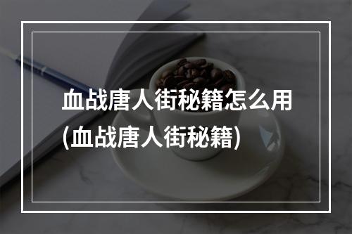 血战唐人街秘籍怎么用(血战唐人街秘籍)