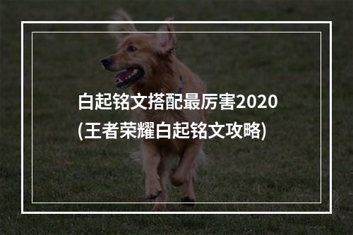 白起铭文搭配最厉害2020(王者荣耀白起铭文攻略)