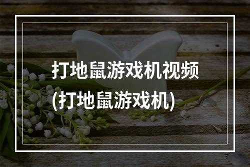 打地鼠游戏机视频(打地鼠游戏机)