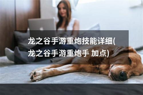 龙之谷手游重炮技能详细(龙之谷手游重炮手 加点)