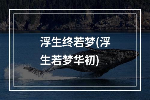 浮生终若梦(浮生若梦华初)