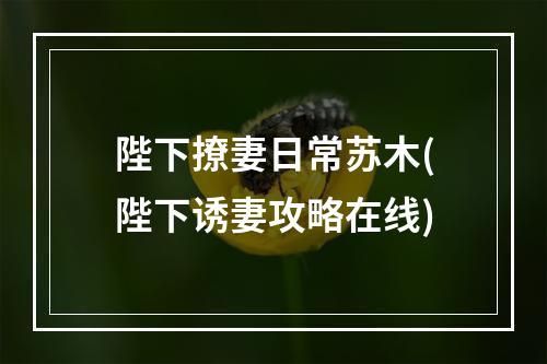 陛下撩妻日常苏木(陛下诱妻攻略在线)