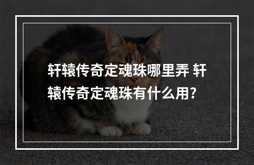 轩辕传奇定魂珠哪里弄 轩辕传奇定魂珠有什么用?