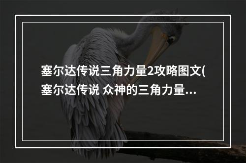 塞尔达传说三角力量2攻略图文(塞尔达传说 众神的三角力量2攻略)