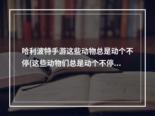 哈利波特手游这些动物总是动个不停(这些动物们总是动个不停NPC在哪里 哈利波特魔法觉醒)