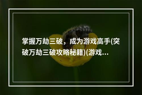 掌握万劫三破，成为游戏高手(突破万劫三破攻略秘籍)(游戏攻略大揭秘，教你如何获得高分(万劫三破攻略大全技巧绝招))