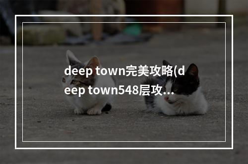 deep town完美攻略(deep town548层攻略)