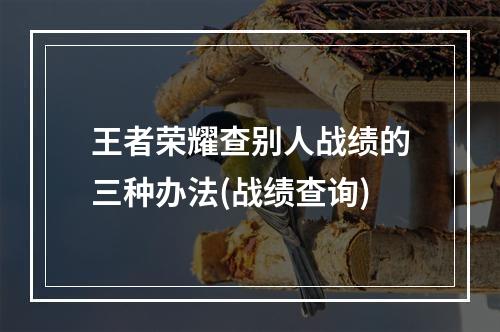 王者荣耀查别人战绩的三种办法(战绩查询)