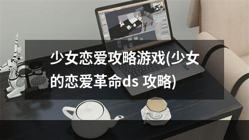 少女恋爱攻略游戏(少女的恋爱革命ds 攻略)