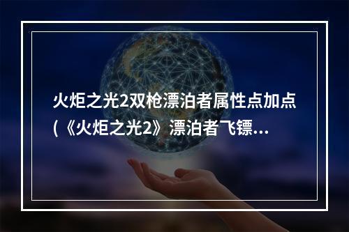 火炬之光2双枪漂泊者属性点加点(《火炬之光2》漂泊者飞镖双枪流打法及加点攻略 打法攻略)