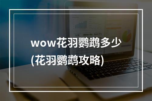 wow花羽鹦鹉多少(花羽鹦鹉攻略)