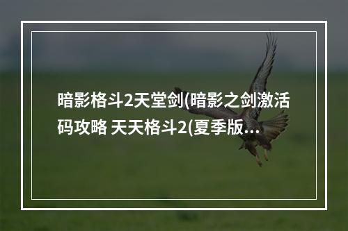 暗影格斗2天堂剑(暗影之剑激活码攻略 天天格斗2(夏季版)暗影之剑的兑换)