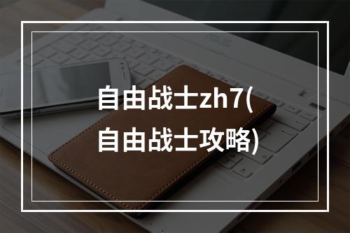 自由战士zh7(自由战士攻略)