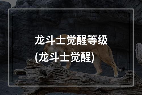 龙斗士觉醒等级(龙斗士觉醒)