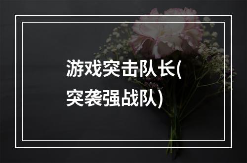 游戏突击队长(突袭强战队)