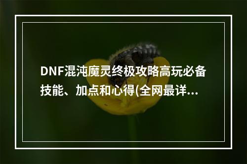 DNF混沌魔灵终极攻略高玩必备技能、加点和心得(全网最详细)(享受混沌魔灵游戏乐趣的同时提高游戏水平的秘诀(详解))