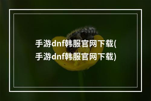 手游dnf韩服官网下载(手游dnf韩服官网下载)