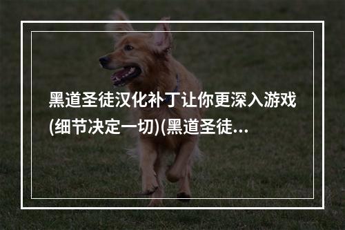 黑道圣徒汉化补丁让你更深入游戏(细节决定一切)(黑道圣徒汉化补丁，中文版流畅畅玩(极致掌控游戏命运))