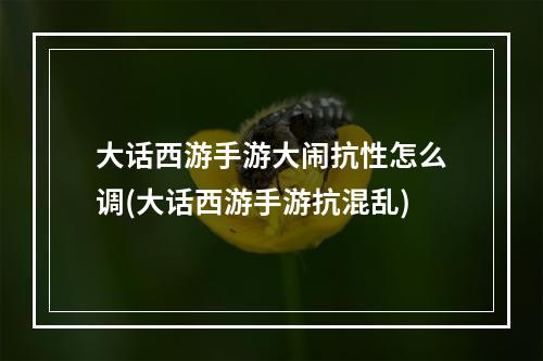 大话西游手游大闹抗性怎么调(大话西游手游抗混乱)