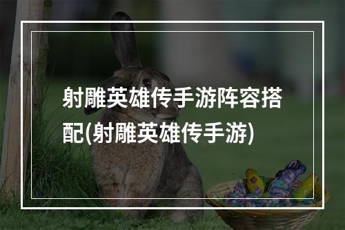 射雕英雄传手游阵容搭配(射雕英雄传手游)