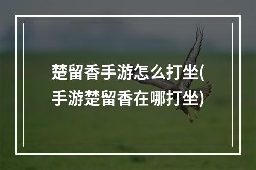 楚留香手游怎么打坐(手游楚留香在哪打坐)