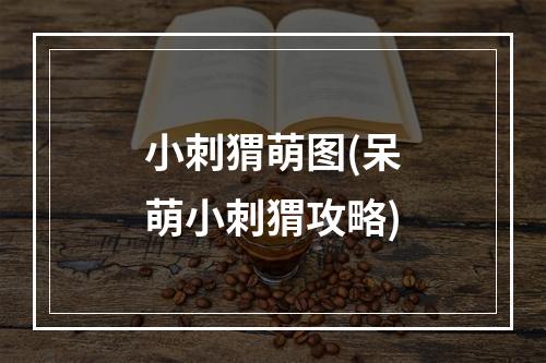 小刺猬萌图(呆萌小刺猬攻略)