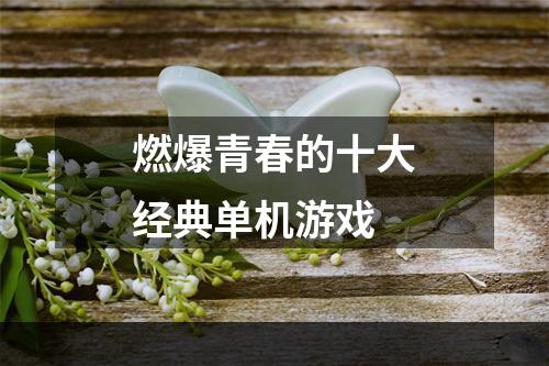 燃爆青春的十大经典单机游戏