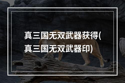 真三国无双武器获得(真三国无双武器印)