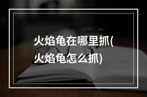 火焰龟在哪里抓(火焰龟怎么抓)