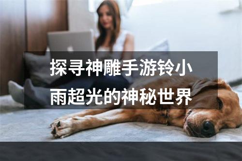 探寻神雕手游铃小雨超光的神秘世界