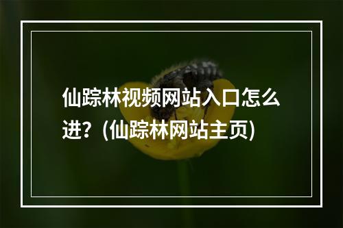 仙踪林视频网站入口怎么进？(仙踪林网站主页)