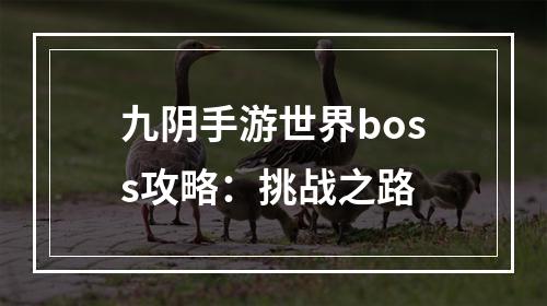 九阴手游世界boss攻略：挑战之路