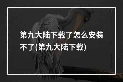 第九大陆下载了怎么安装不了(第九大陆下载)