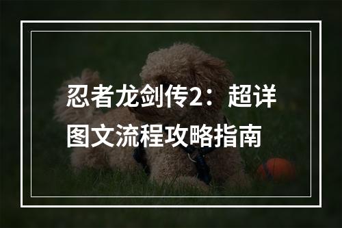 忍者龙剑传2：超详图文流程攻略指南