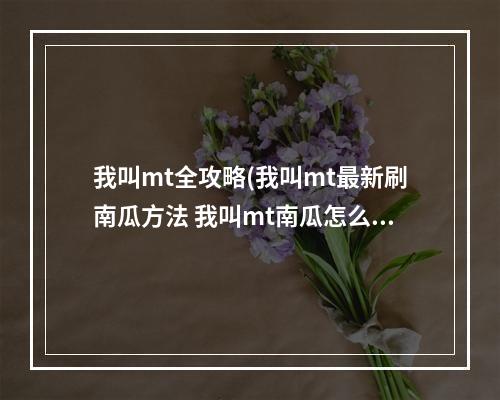 我叫mt全攻略(我叫mt最新刷南瓜方法 我叫mt南瓜怎么刷)