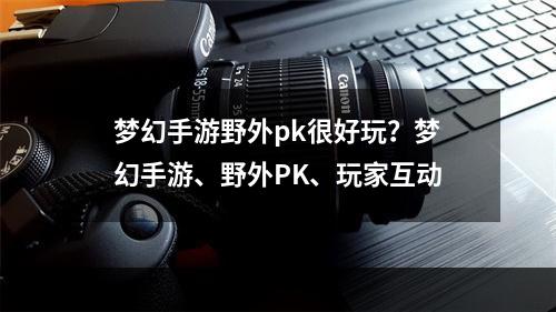 梦幻手游野外pk很好玩？梦幻手游、野外PK、玩家互动