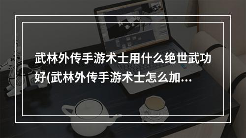 武林外传手游术士用什么绝世武功好(武林外传手游术士怎么加点技能点分配方法)