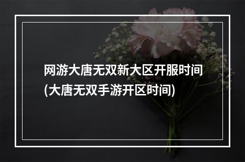 网游大唐无双新大区开服时间(大唐无双手游开区时间)