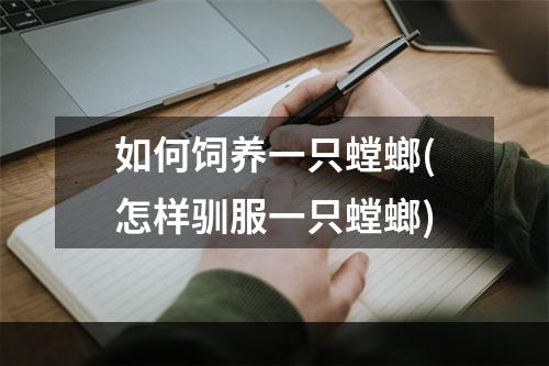 如何饲养一只螳螂(怎样驯服一只螳螂)