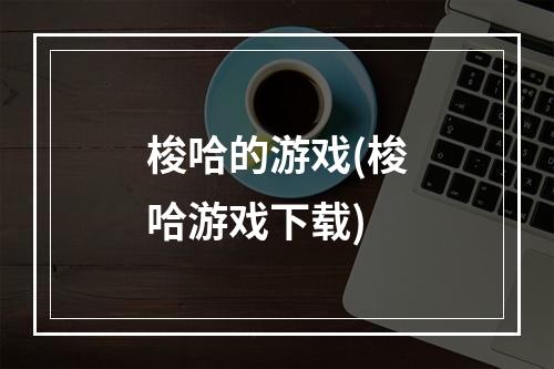 梭哈的游戏(梭哈游戏下载)