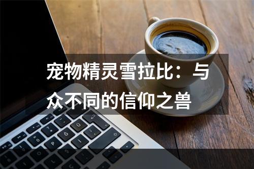 宠物精灵雪拉比：与众不同的信仰之兽