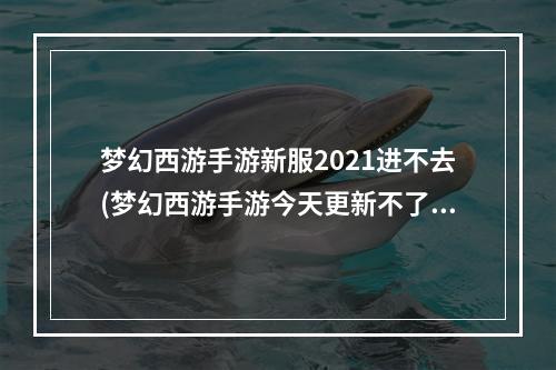 梦幻西游手游新服2021进不去(梦幻西游手游今天更新不了游戏)