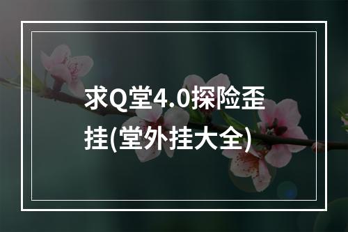 求Q堂4.0探险歪挂(堂外挂大全)