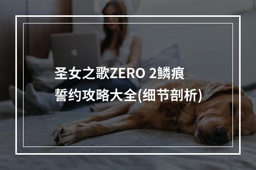 圣女之歌ZERO 2鳞痕誓约攻略大全(细节剖析)