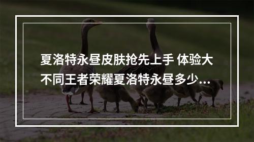 夏洛特永昼皮肤抢先上手 体验大不同王者荣耀夏洛特永昼多少钱